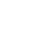 Our Bondada Experience